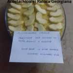 Acostachioaiei Raluca Georgiana Prajitura fara coacere 150x150 - Gatim gustos cu Gina Bradea, concurs noiembrie 2017