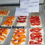 Amalia Boanca Aperitive din foietaj cu legume 150x150 - Gatim gustos cu Gina Bradea, concurs noiembrie 2017