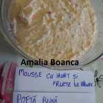 Amalia Boanca Mousse cu iaurt si fructe de padure 150x150 - Gatim gustos cu Gina Bradea, concurs noiembrie 2017
