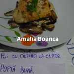 Amalia Boanca Pui cu ciuperci la cuptor 150x150 - Gatim gustos cu Gina Bradea, concurs noiembrie 2017