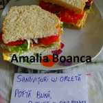 Amalia Boanca Sandvisuri cu omleta 150x150 - Gatim gustos cu Gina Bradea, concurs noiembrie 2017