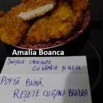 Amalia Boanca Snitele crocante cu lamaie si bere 150x150 - Gatim gustos cu Gina Bradea, concurs noiembrie 2017