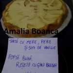 Amalia Boanca Tarta cu mere pere si sos de vanilie 150x150 - Gatim gustos cu Gina Bradea, concurs noiembrie 2017