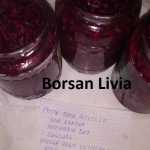 Borsan Livia Sfecla rosie cu hrean si otet 150x150 - Gatim gustos cu Gina Bradea, concurs noiembrie 2017