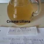 Cirease Liliana Bors de putina 150x150 - Gatim gustos cu Gina Bradea, concurs noiembrie 2017