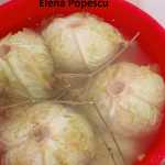 Elena Popescu Varza murata 150x150 - Gatim gustos cu Gina Bradea, concurs noiembrie 2017