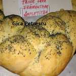 Gica Petrescu Paine fara framantare impletita 150x150 - Gatim gustos cu Gina Bradea, concurs noiembrie 2017