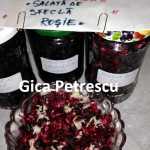 Gica Petrescu Salata de sfecla rosie 150x150 - Gatim gustos cu Gina Bradea, concurs noiembrie 2017
