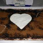 Gica Petrescu Tiramisu 150x150 - Gatim gustos cu Gina Bradea, concurs noiembrie 2017