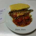 Jitaru Diana Plachie de peste 6 150x150 - Gatim gustos cu Gina Bradea, concurs noiembrie 2017
