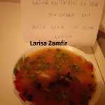 Larisa Zamfir Bors moldovenesc de gaina 4 150x150 - Gatim gustos cu Gina Bradea, concurs noiembrie 2017