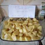 Larisa Zamfir Cartofi cu rozmarin 150x150 - Gatim gustos cu Gina Bradea, concurs noiembrie 2017