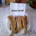 Larisa Zamfir Peste prajit 150x150 - Gatim gustos cu Gina Bradea, concurs noiembrie 2017