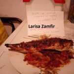 Larisa Zamfir Plachie de peste 150x150 - Gatim gustos cu Gina Bradea, concurs noiembrie 2017