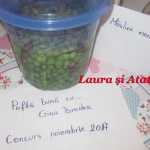 Laura si Atat Masline marinate 150x150 - Gatim gustos cu Gina Bradea, concurs noiembrie 2017
