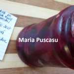 Maria Puscasu Salata de sfecla rosie 8 150x150 - Gatim gustos cu Gina Bradea, concurs noiembrie 2017
