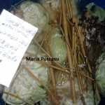 Maria Puscasu Varza murata pentru iarna 150x150 - Gatim gustos cu Gina Bradea, concurs noiembrie 2017