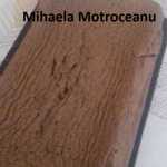 Mihaela Motroceanu Blat umed de cacao 150x150 - Gatim gustos cu Gina Bradea, concurs noiembrie 2017