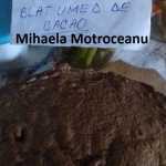 Mihaela Motroceanu Blat umed de cacao 2 150x150 - Gatim gustos cu Gina Bradea, concurs noiembrie 2017