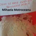 Mihaela Motroceanu Branza proaspata 150x150 - Gatim gustos cu Gina Bradea, concurs noiembrie 2017