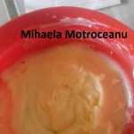 Mihaela Motroceanu Maioneza 150x150 - Gatim gustos cu Gina Bradea, concurs noiembrie 2017