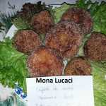 Mona Lucaci Chiftele din cartofi 150x150 - Gatim gustos cu Gina Bradea, concurs noiembrie 2017