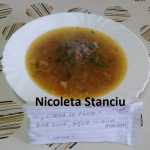 Nicoleta Stanciu Ciorba de peste 150x150 - Gatim gustos cu Gina Bradea, concurs noiembrie 2017