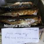 Nicoleta Stanciu Peste prajit 150x150 - Gatim gustos cu Gina Bradea, concurs noiembrie 2017