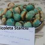 Nicoleta Stanciu Piersicute 150x150 - Gatim gustos cu Gina Bradea, concurs noiembrie 2017