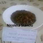 Nicoleta Stanciu Tocanita de ciuperci de post 150x150 - Gatim gustos cu Gina Bradea, concurs noiembrie 2017