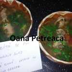 Oana Petreaca Ciorbita de pui 150x150 - Gatim gustos cu Gina Bradea, concurs noiembrie 2017