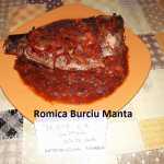 Romica Burciu Manta Peste la cuptor 150x150 - Gatim gustos cu Gina Bradea, concurs noiembrie 2017