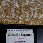 Amalia Boanca Chec cu dovleac si nuca 150x150 - Gatim gustos cu Gina Bradea, concurs decembrie 2017