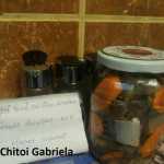 Chitoi Gabriela Macrou marinat 150x150 - Gatim gustos cu Gina Bradea, concurs decembrie 2017