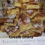 Cirease Liliana Placinta cu branza dulce si stafide 150x150 - Gatim gustos cu Gina Bradea, concurs decembrie 2017