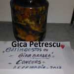 Gica Petrescu Peste marinat 150x150 - Gatim gustos cu Gina Bradea, concurs decembrie 2017