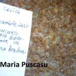 Maria Puscasu Coliva 150x150 - Gatim gustos cu Gina Bradea, concurs decembrie 2017