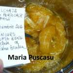 Maria Puscasu Dulceata de portocale felii 150x150 - Gatim gustos cu Gina Bradea, concurs decembrie 2017