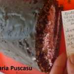 Maria Puscasu Rulada cu ciocolata si crema de branza 150x150 - Gatim gustos cu Gina Bradea, concurs decembrie 2017