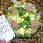 Maria Puscasu Salata de ton 150x150 - Gatim gustos cu Gina Bradea, concurs decembrie 2017