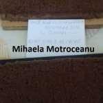 Mihaela Motroceanu Blat umed de cacao 150x150 - Gatim gustos cu Gina Bradea, concurs decembrie 2017