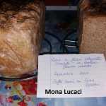 Mona Lucaci Paine cu faina integrale si seminte 150x150 - Gatim gustos cu Gina Bradea, concurs decembrie 2017