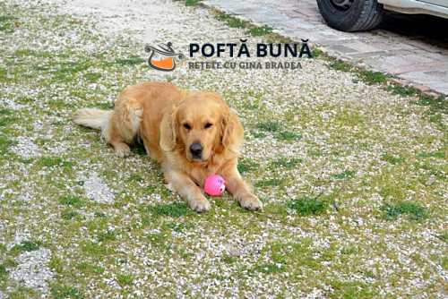 La dolce far niente sau nesimtirea dusa la rang de arta