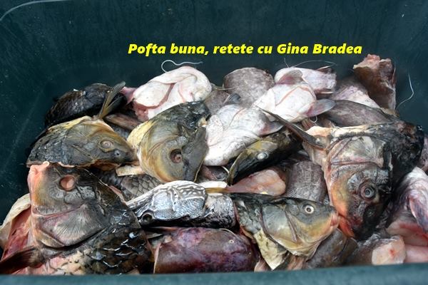 Cum se face ciorba de peste pe malul Dunarii, la Isaccea