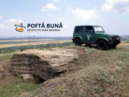 De ce am ales sa ne mutam la tara?