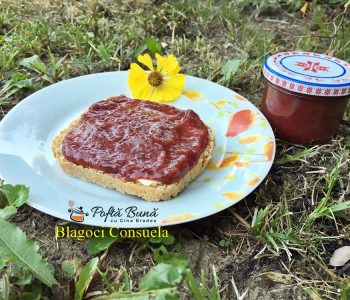 Gem de mere si prune, reteta ideala pentru copii si diabetici