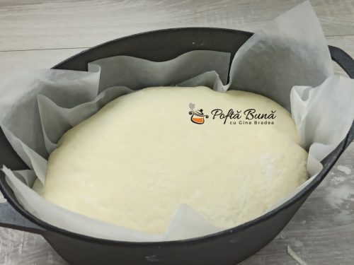Paine de casa reteta simpla cu putina drojdie gina bradea 6 500x375 - Paine de casa reteta simpla cu putina drojdie