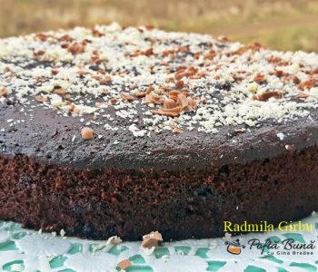 Chec cu cacao si prune, pufos si delicios, reteta pas cu pas Chec cu cacao si prune, pufos si delicios, reteta pas cu pas