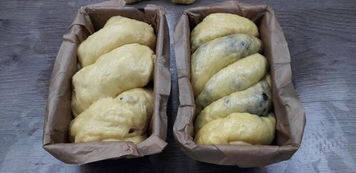 Cozonac cu mac, reteta traditionala de cozonac pufos Cozonac cu mac reteta traditionala gina bradea 17 500x243 - Cozonac cu mac, reteta traditionala de cozonac pufos