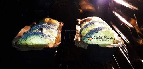 Cozonac cu mac, reteta traditionala de cozonac pufos Cozonac cu mac reteta traditionala gina bradea 8 500x243 - Cozonac cu mac, reteta traditionala de cozonac pufos